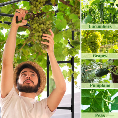 Slsy Tall Garden Arch Trellis for Climbing Plants, 79'' L x 79'' W x 79'' H Large Grape Vine Support Arch Arbor Trellis Plastic-Coated Metal Garden Arch Trellis for Climbing Plants
