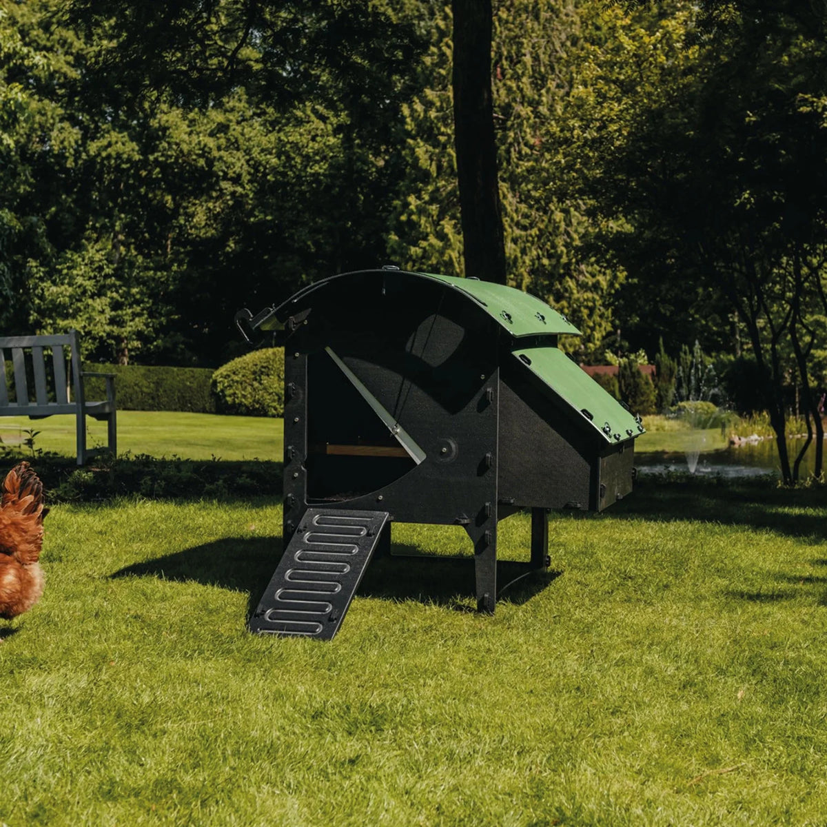 Chicken Coop