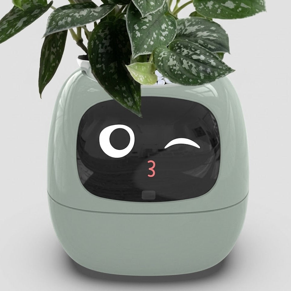 A mint green robot-shaped planter with a black face window showing a winking eye and a red number 3, with green plant leaves emerging from the top, set against a light gray background.