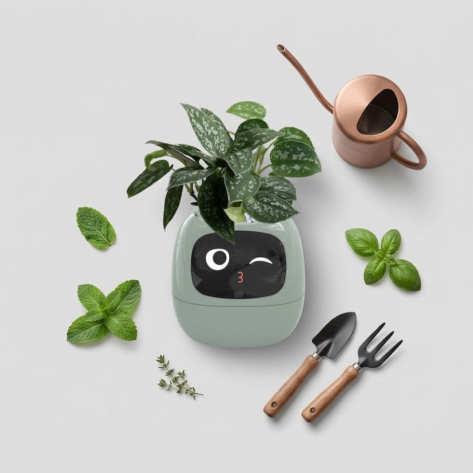 A cute, rounded sage green planter with a black face and a winking eye, holding a green plant. The planter is styled in a flat-lay composition on a light gray background, surrounded by a copper-colored watering can, a small hand fork, a hand trowel, mint leaves, basil leaves, and a sprig of thyme.