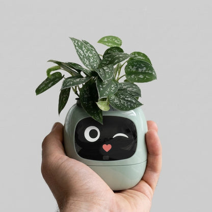 A hand holding a small potted plant in a round, mint green planter with a black face graphic and a small red heart on the front, against a plain light gray background.