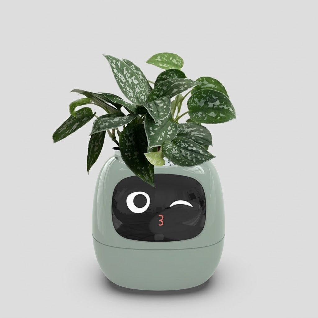 A mint green robotic planter with a winking face on the front, holding a green and white variegated houseplant, set against a solid light gray background.