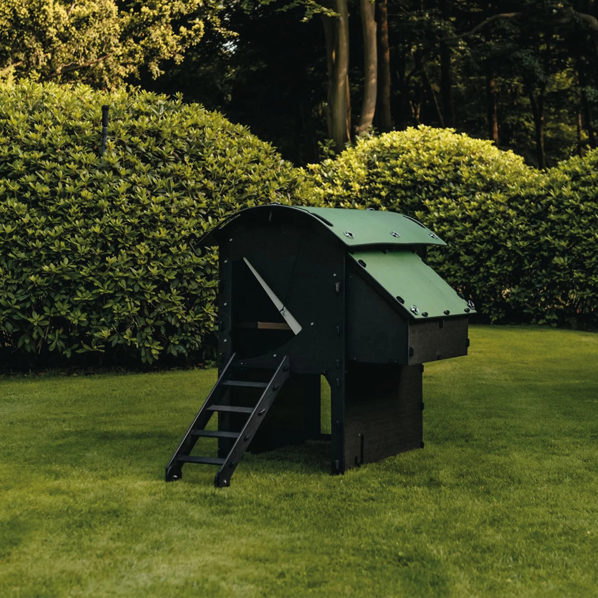Chicken Coop