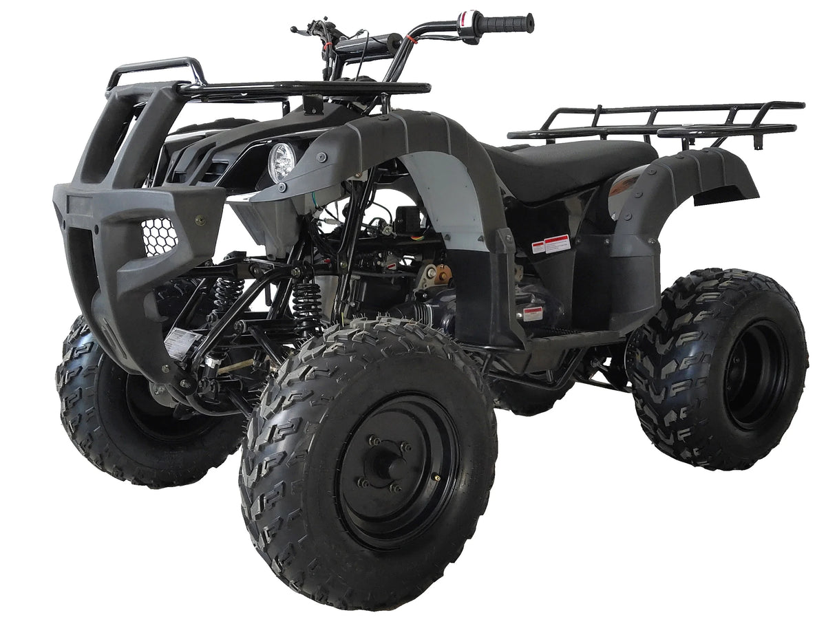 SmartDeals 200cc ATV with Automatic Transmission and Disc Brakes