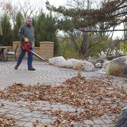 Toro Ultra Electric Handheld Leaf Blower/Vacuum
